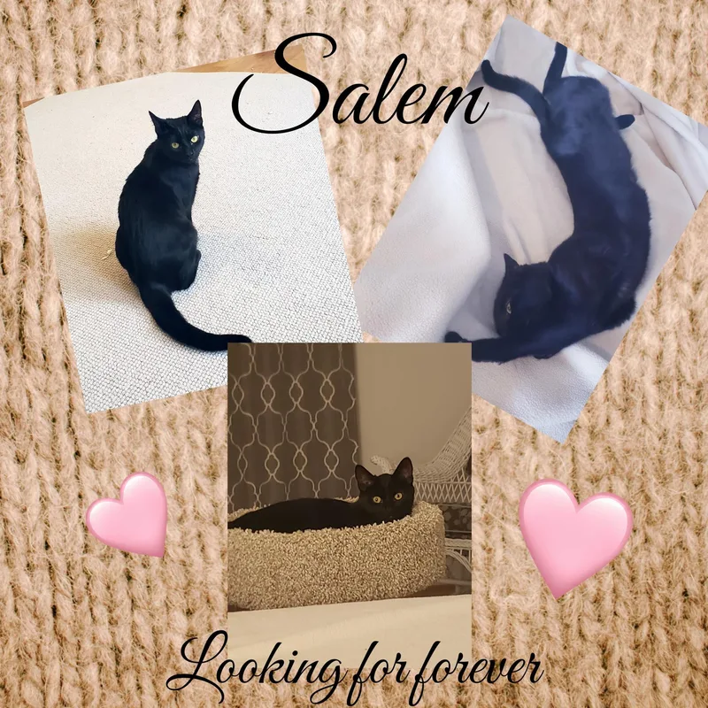 Salem