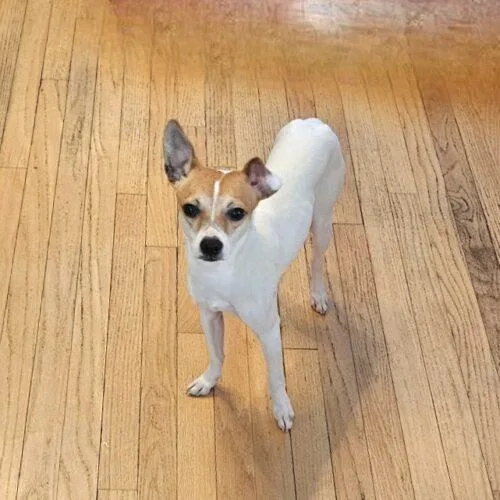 Christopher thumbnail 2