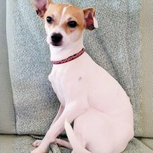 Christopher thumbnail 3