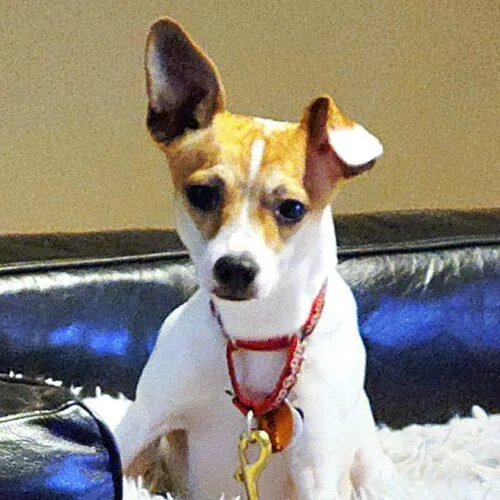 Christopher thumbnail 4