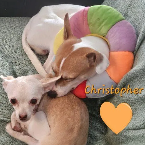 Christopher thumbnail 5