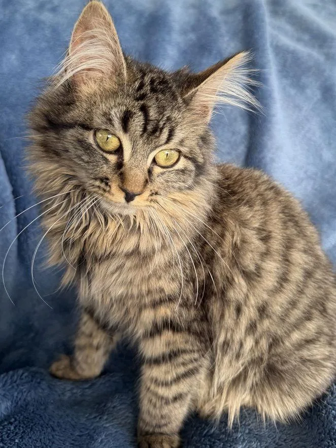 Madeline thumbnail 2