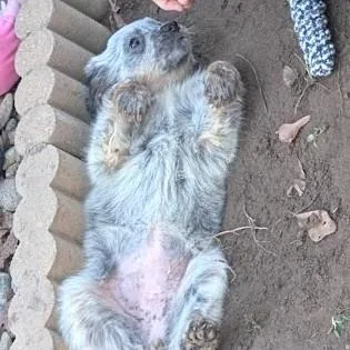 Maya Fey thumbnail 4