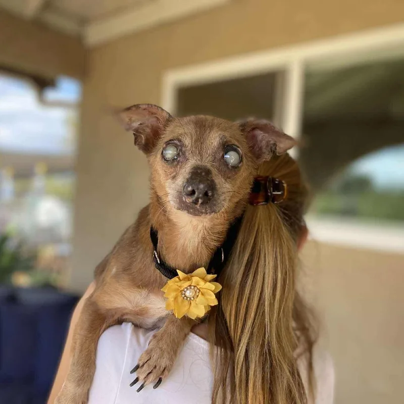 Willamina thumbnail 2