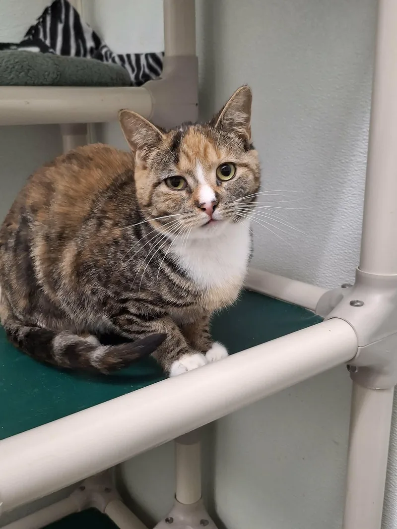 Lou And Travis thumbnail 2