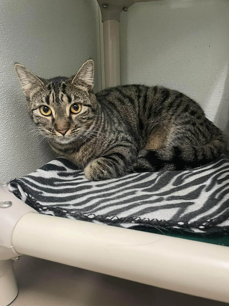 Travis And Lou thumbnail 3