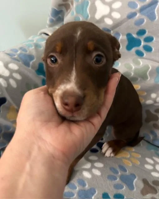 Gus Power thumbnail 2