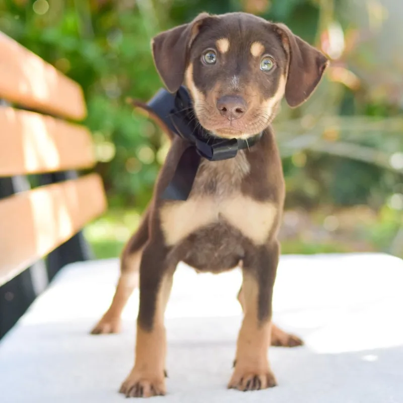 James Bond thumbnail 2