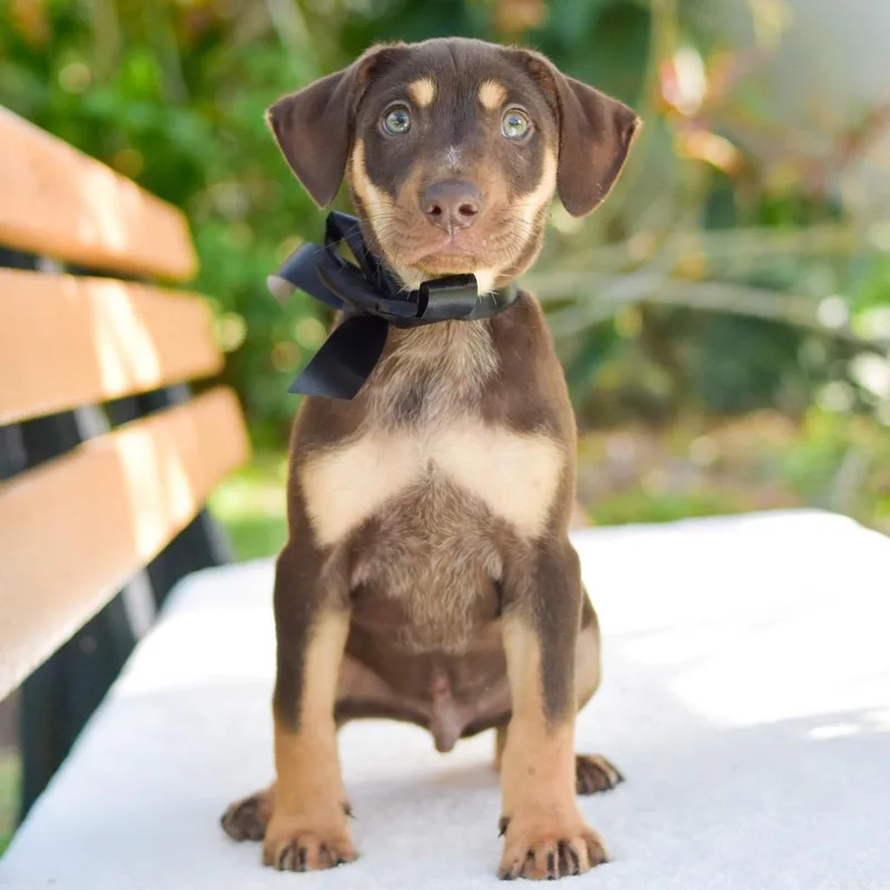 James Bond thumbnail 3