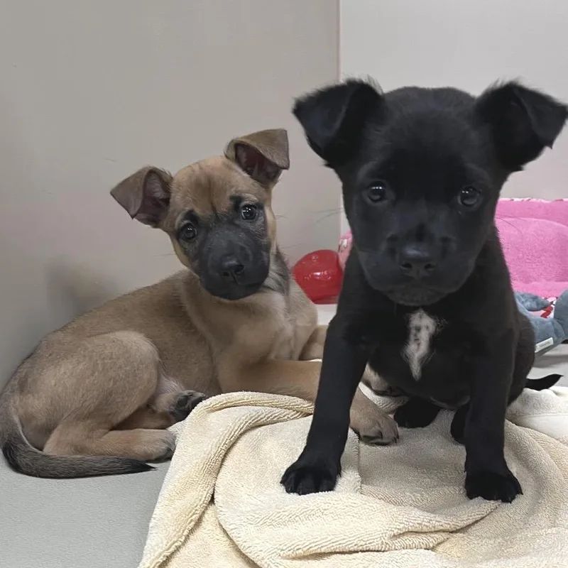 Mariette thumbnail 2