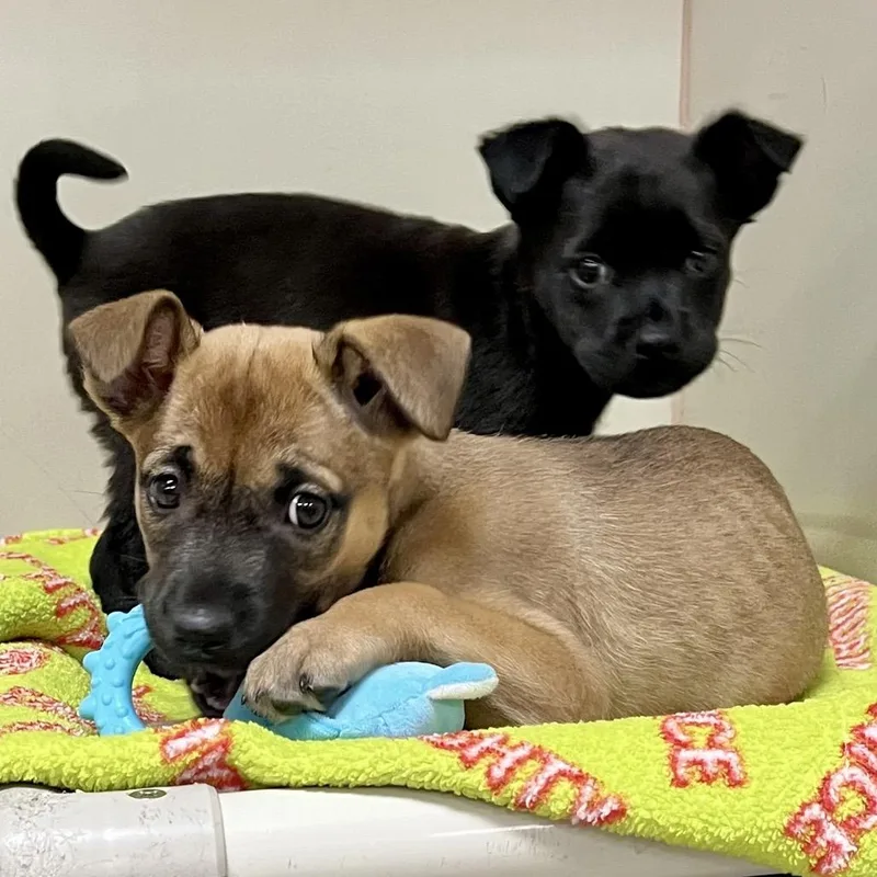 Mariette thumbnail 3