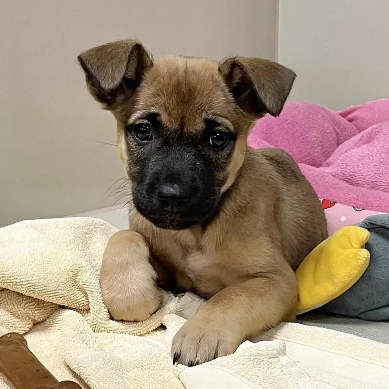 Mariette thumbnail 4