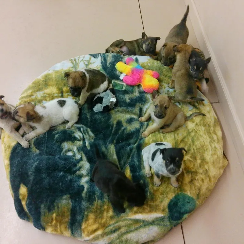 Mariette thumbnail 6