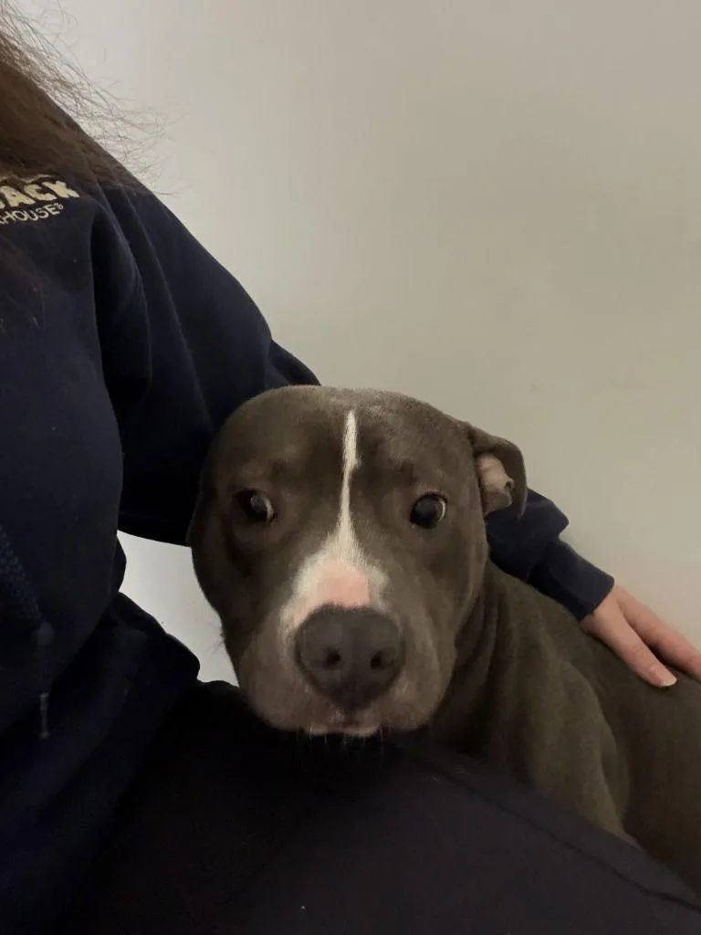 Da  Sokka thumbnail 2