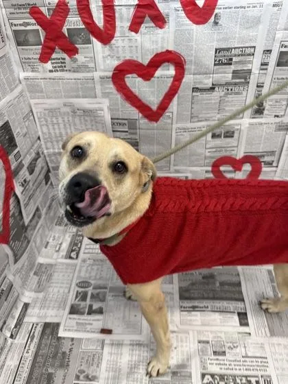 Kingston thumbnail 2