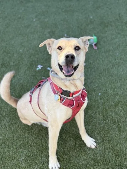 Kingston thumbnail 3