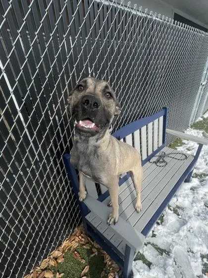 Captain Blue thumbnail 2