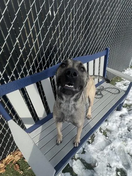 Captain Blue thumbnail 3