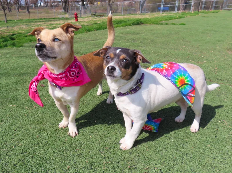 Chanel  Cb thumbnail 4