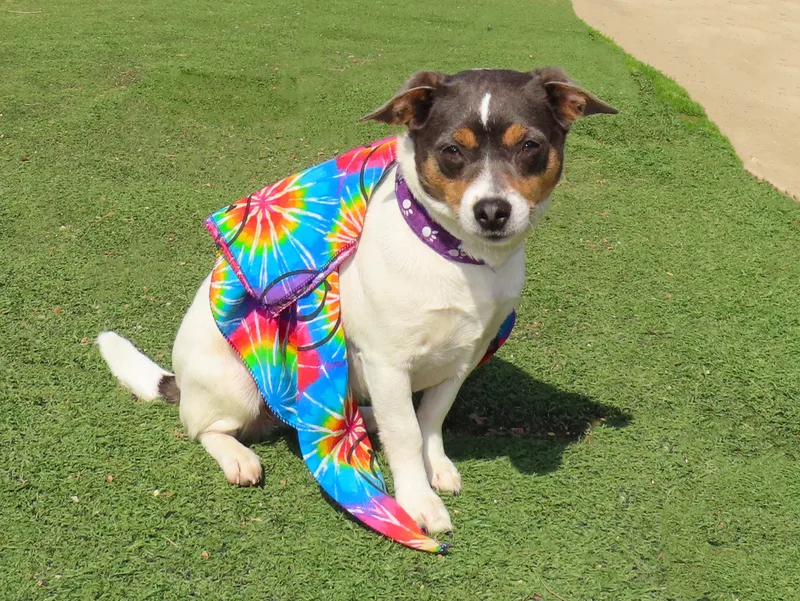 Chanel  Cb thumbnail 5