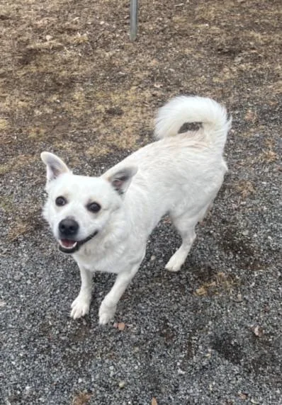 Ghostopher P Spookington