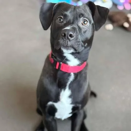 Baby Kurt thumbnail 2