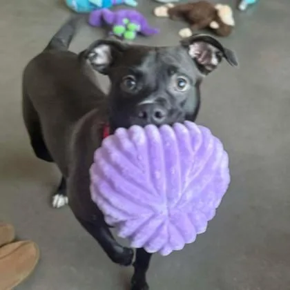 Baby Kurt thumbnail 3