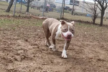 Bean Bag thumbnail 2