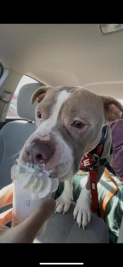 Bean Bag thumbnail 3