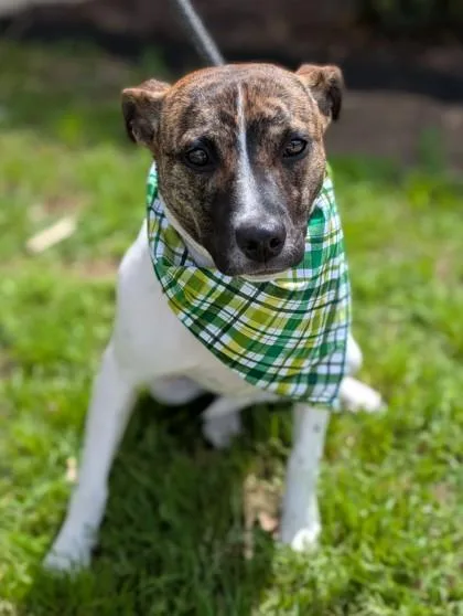 Robert Earl thumbnail 3