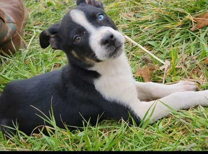 Lou Fleming thumbnail 2