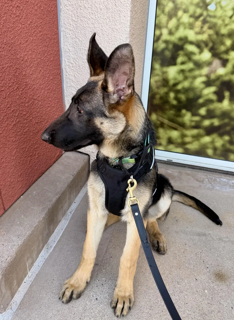 Livie Hera thumbnail 5