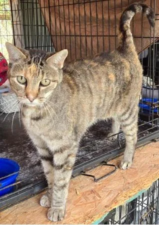 Onyx And Mickey thumbnail 2