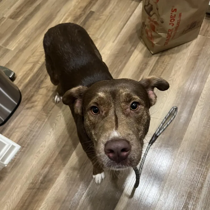 Cimmaron thumbnail 2