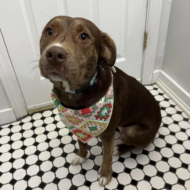 Cimmaron thumbnail 3