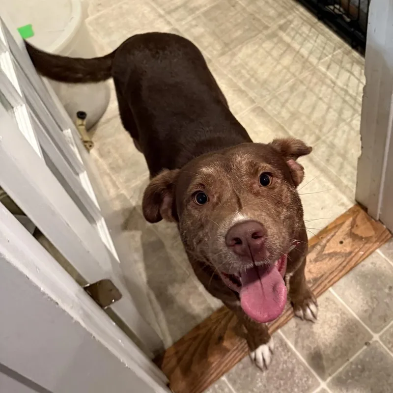 Cimmaron thumbnail 5