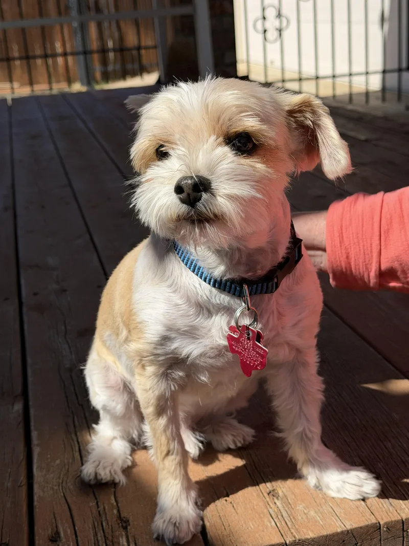 Dynamic Duo Mikey & thumbnail 3