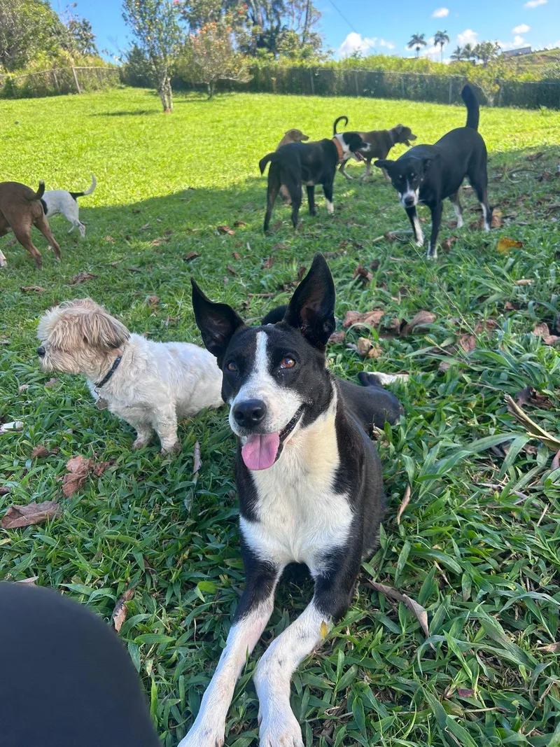 Benjamin thumbnail 5