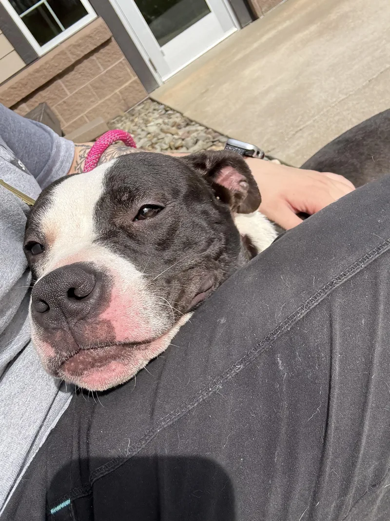 Kimberly thumbnail 2