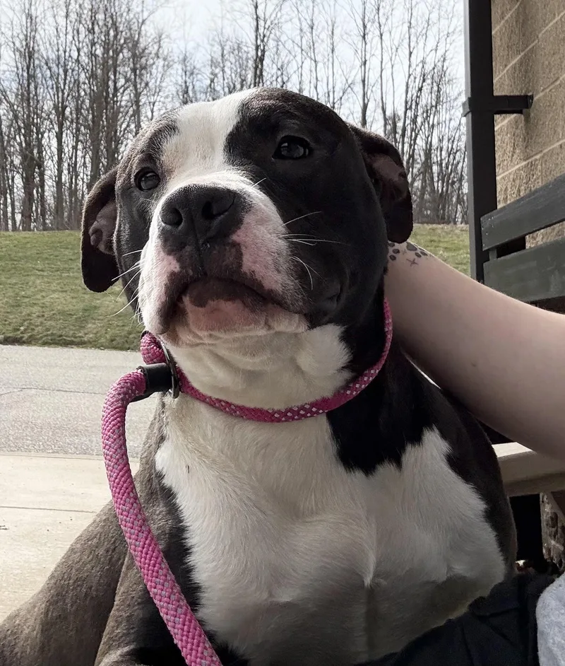 Kimberly thumbnail 3