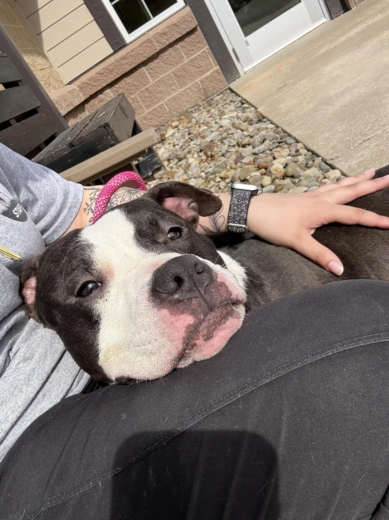 Kimberly thumbnail 4