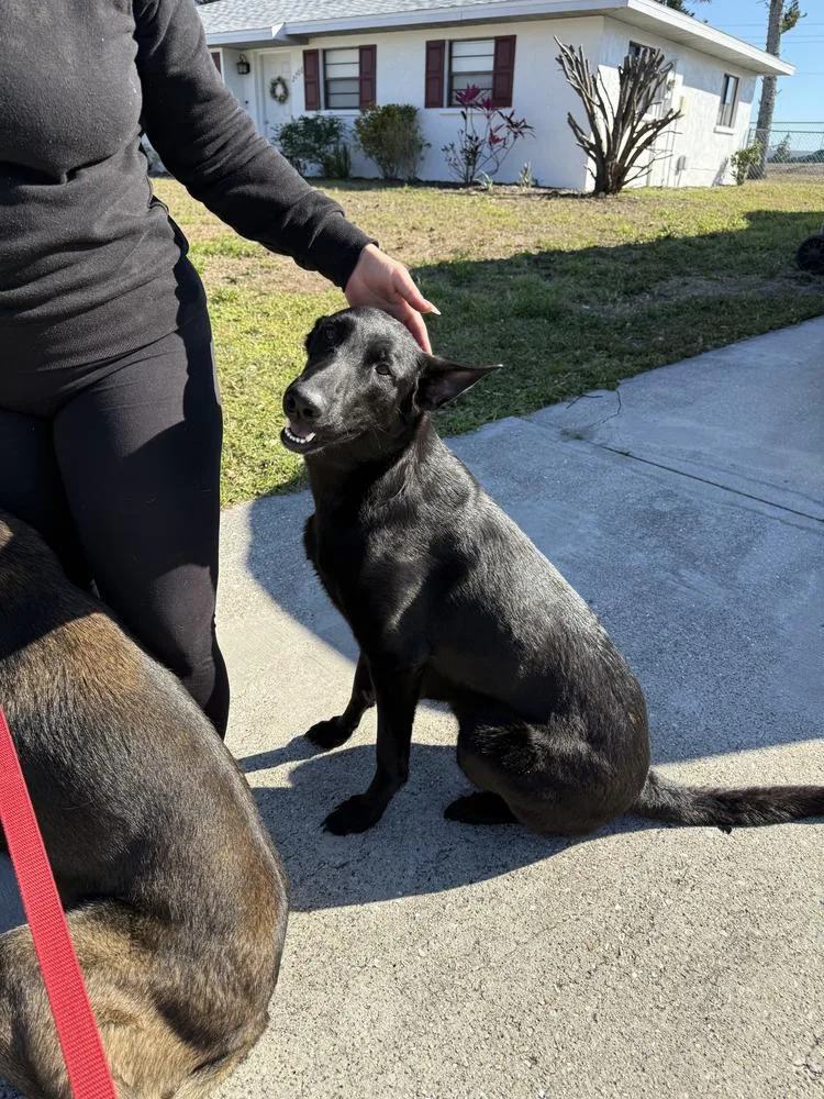 Lakeland Lookers  Momma thumbnail 4