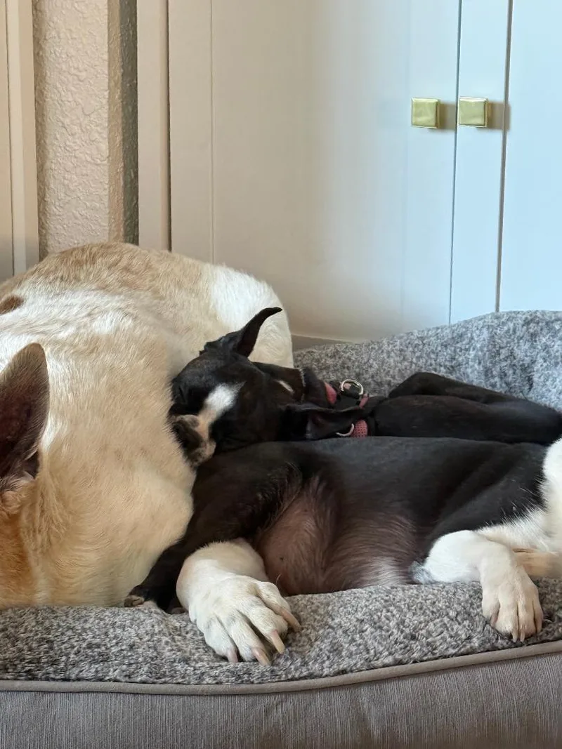 Elisabeth In Ia thumbnail 3