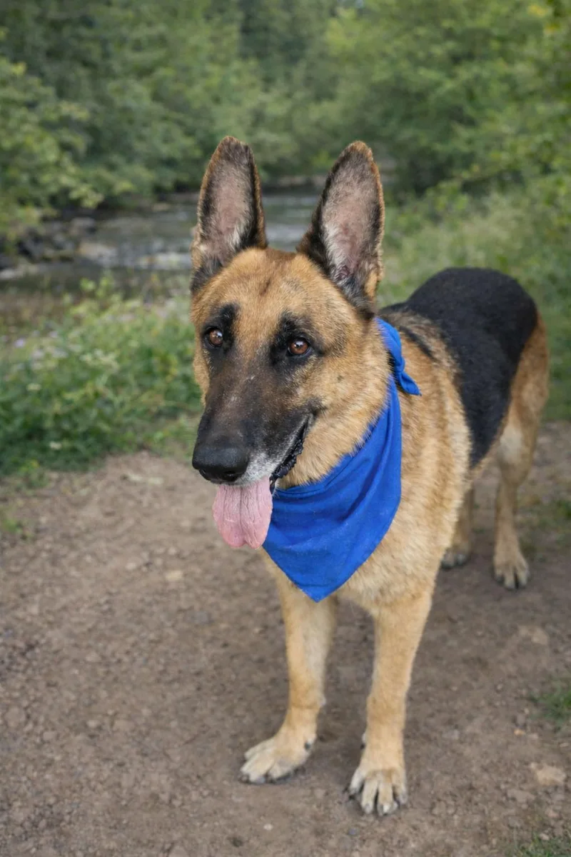 Megan And Magnus thumbnail 3