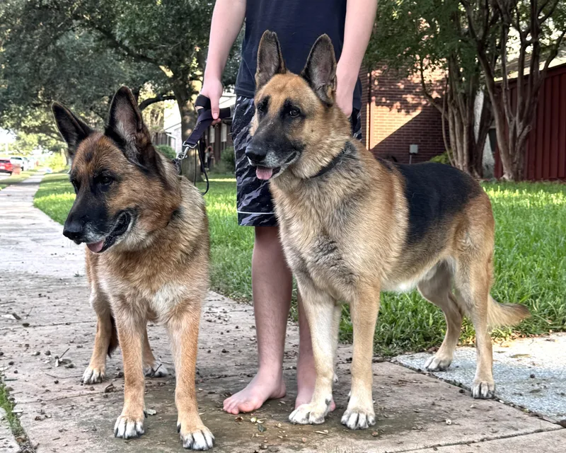 Megan And Magnus thumbnail 5