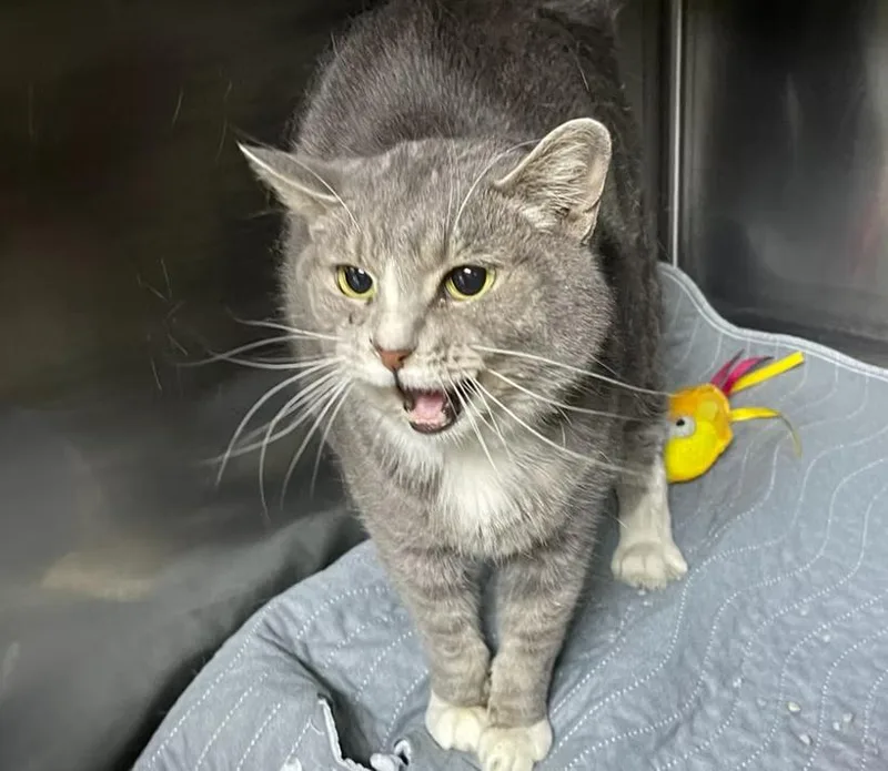 Baby Girl thumbnail 2