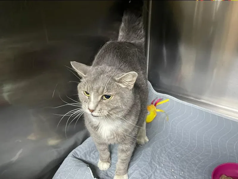 Baby Girl thumbnail 3