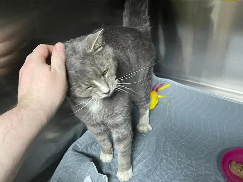 Baby Girl thumbnail 4