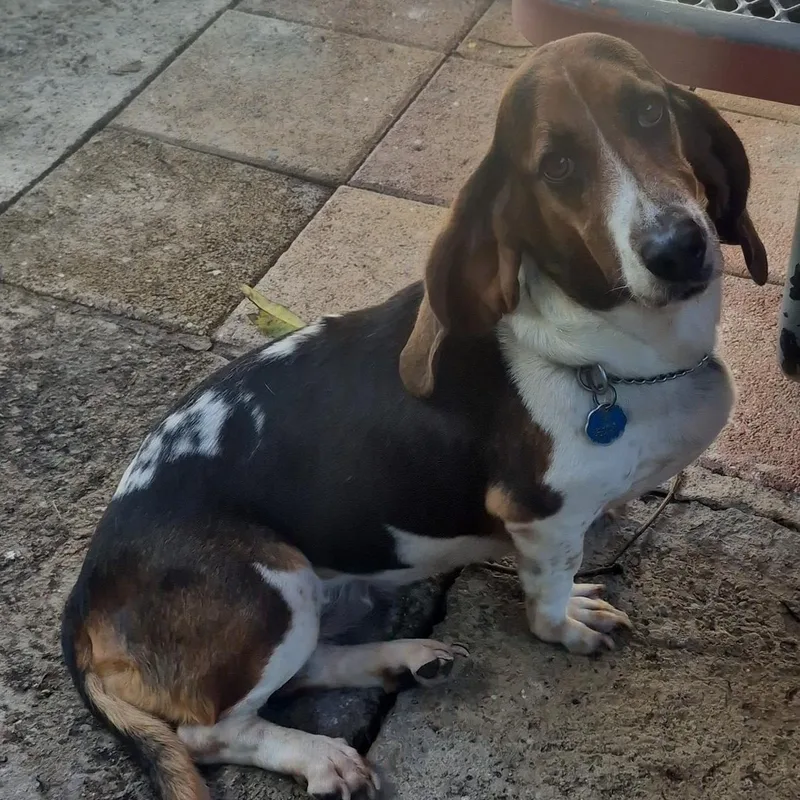 Ghandi  Out Of thumbnail 2