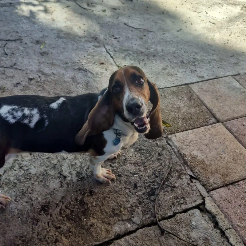 Ghandi  Out Of thumbnail 3